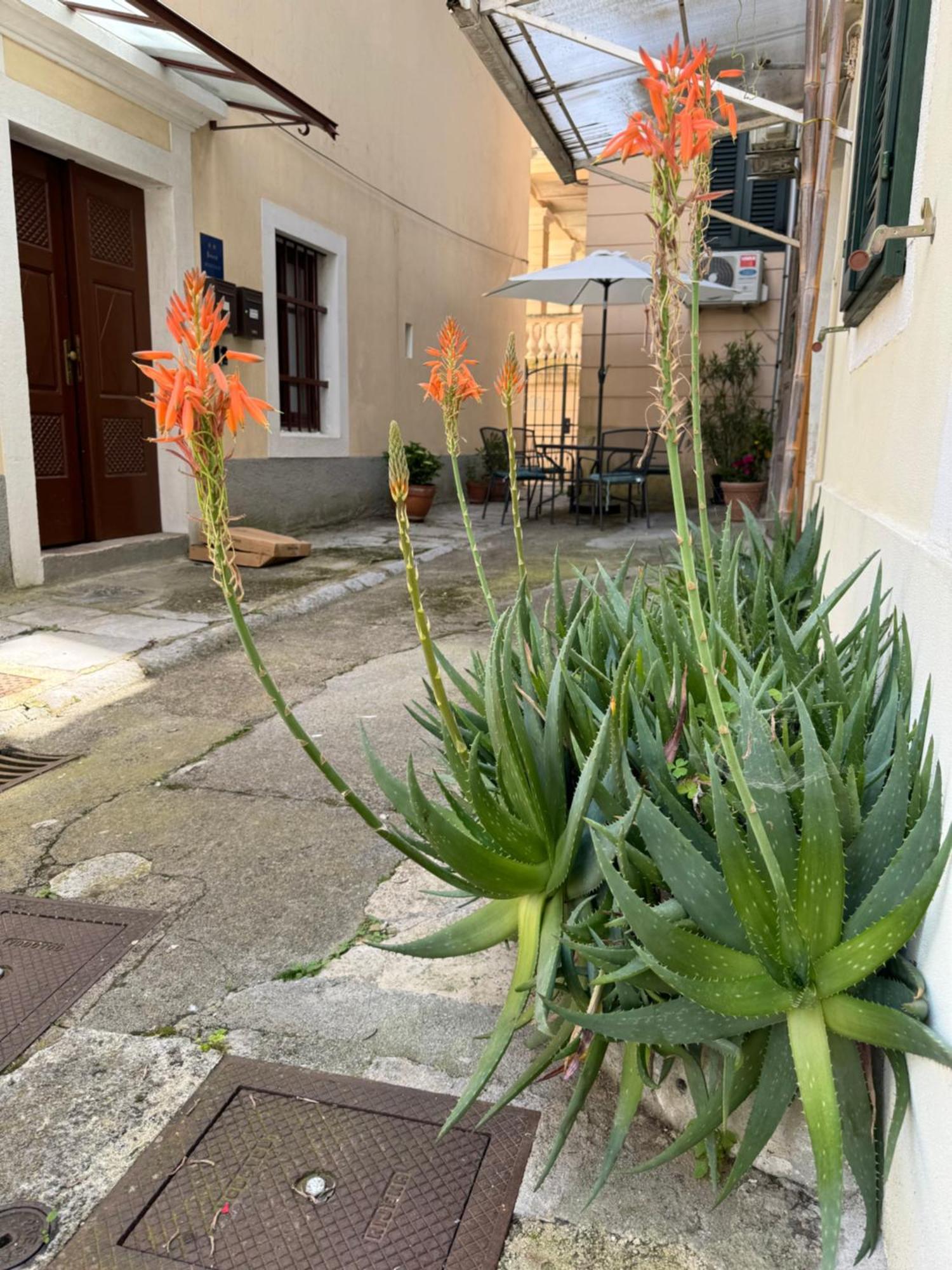 Apartment Mirna - What You See Is What You Get Opatija Extérieur photo