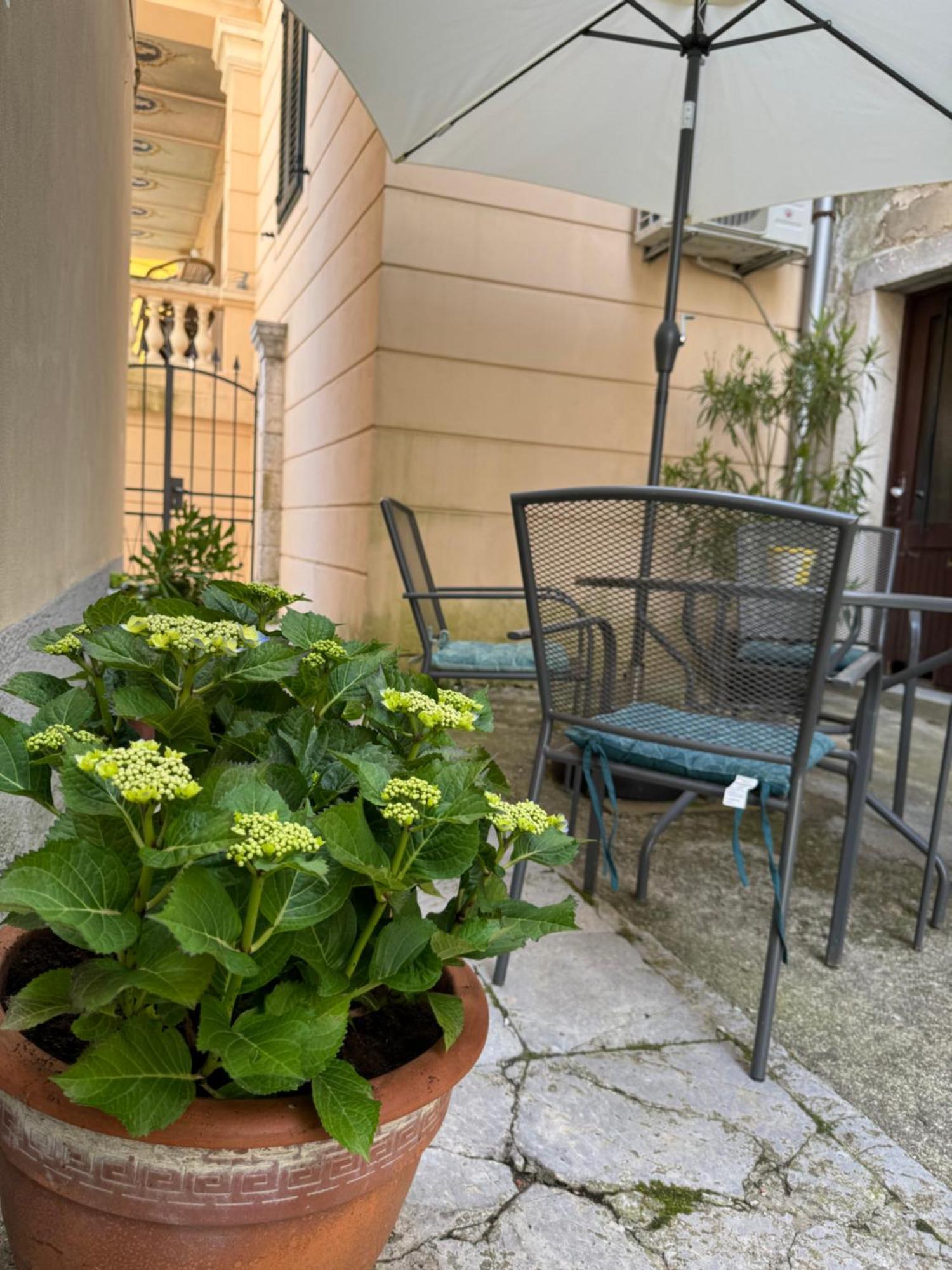 Apartment Mirna - What You See Is What You Get Opatija Extérieur photo
