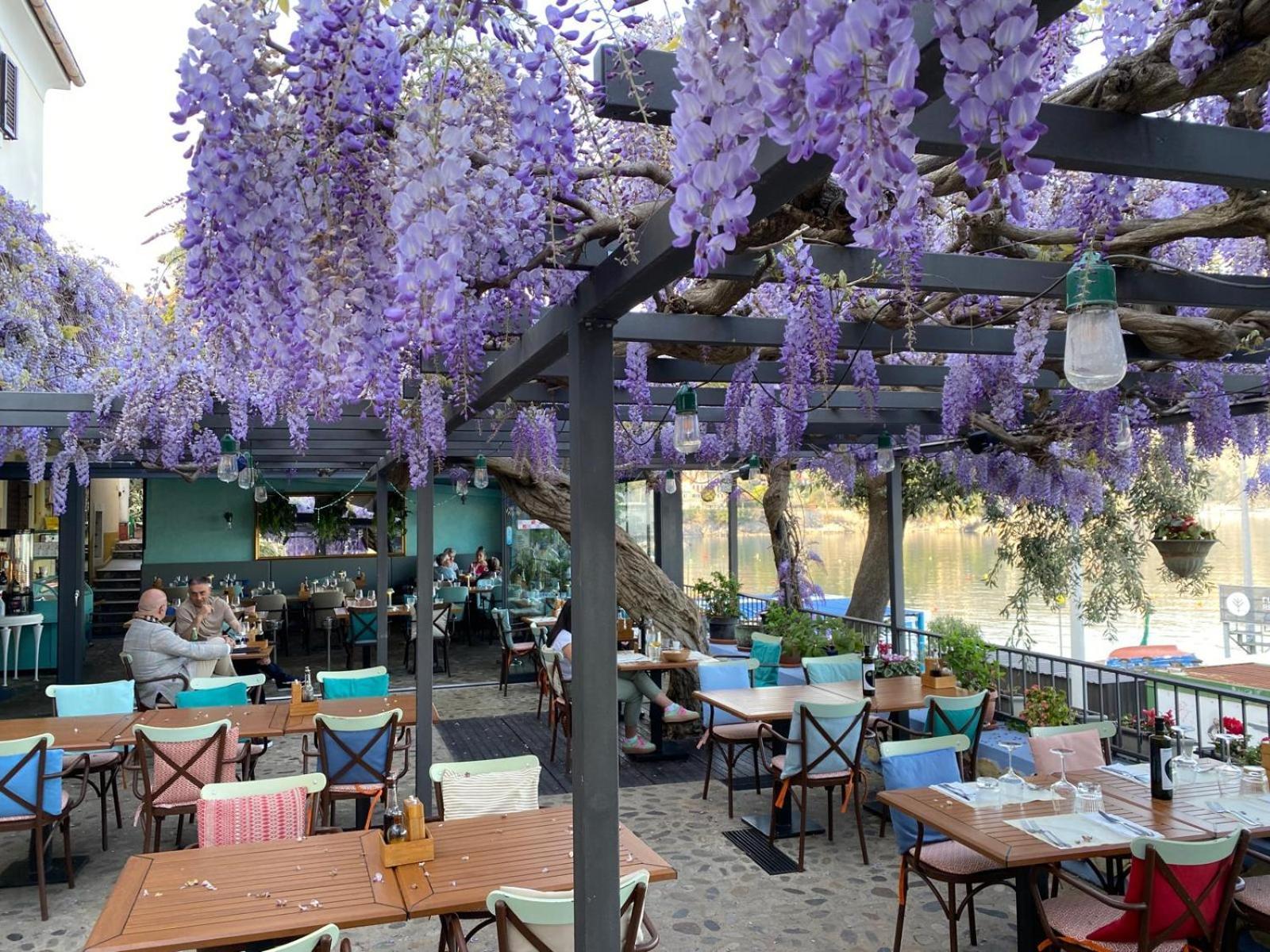 Apartment Mirna - What You See Is What You Get Opatija Extérieur photo