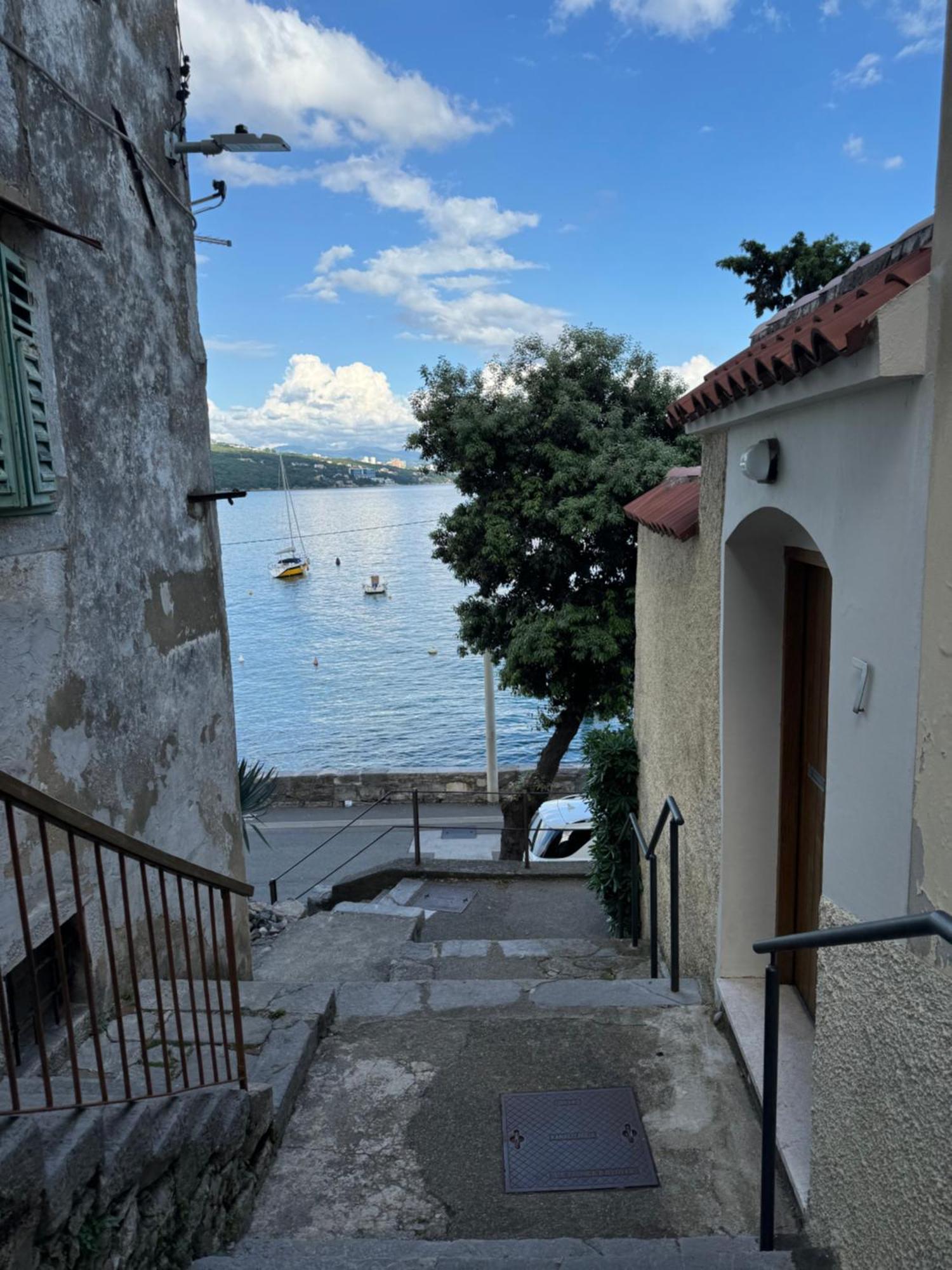 Apartment Mirna - What You See Is What You Get Opatija Extérieur photo